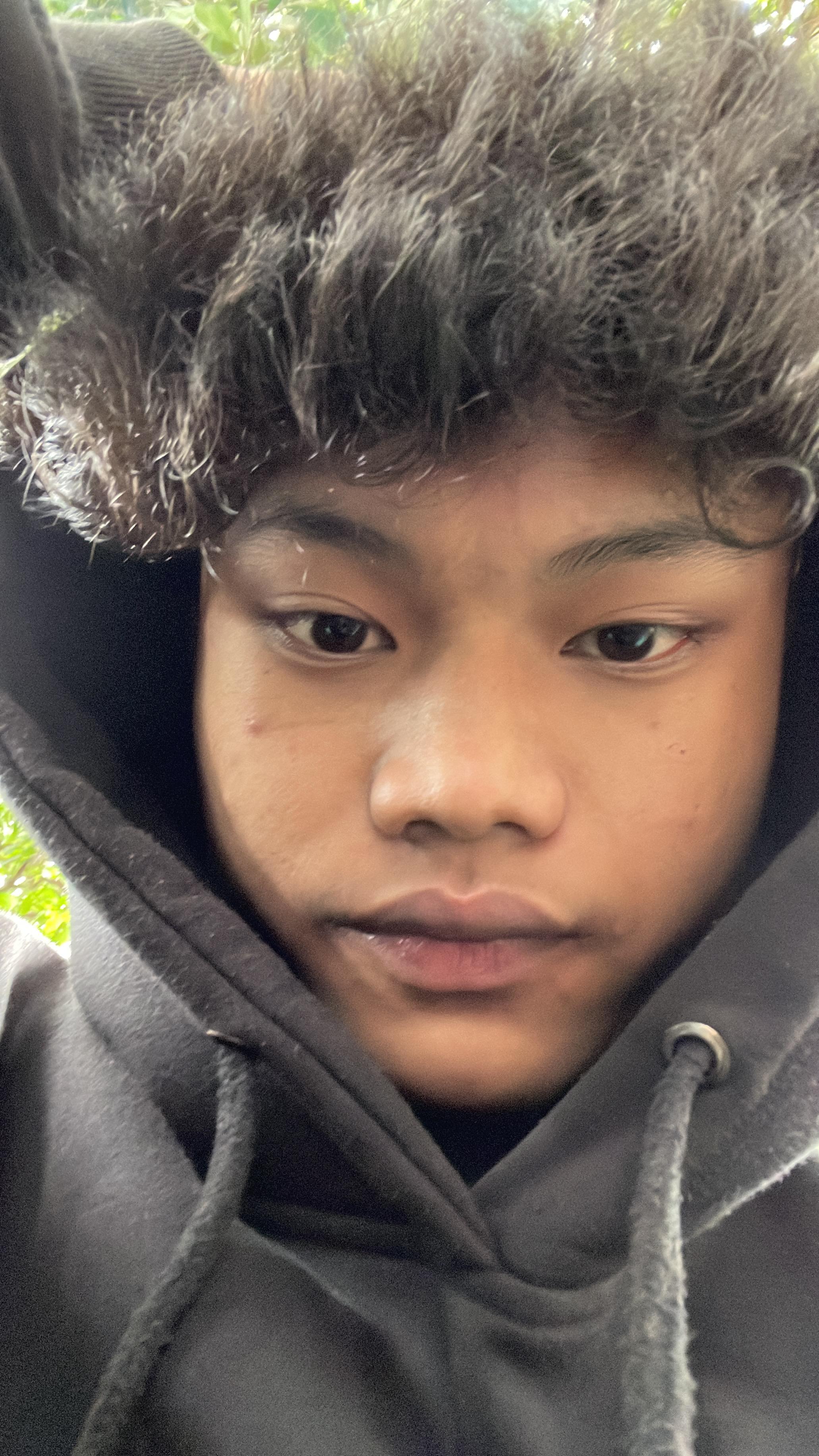 gambar